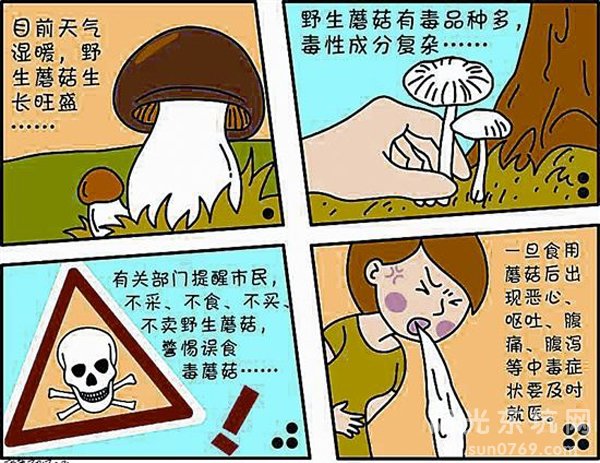 娱乐生活 第5页